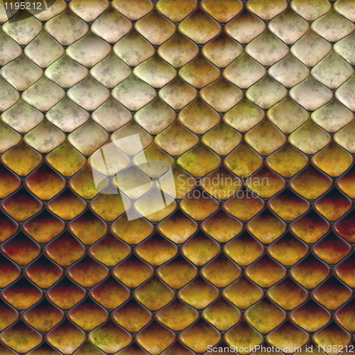 Image of snake scales background