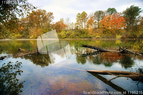 Image of autumn leaves and trees on river