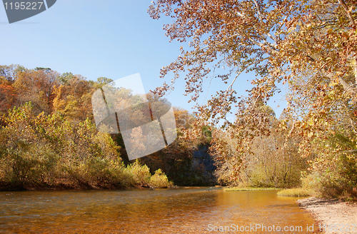 Image of autumn leaves and trees on river