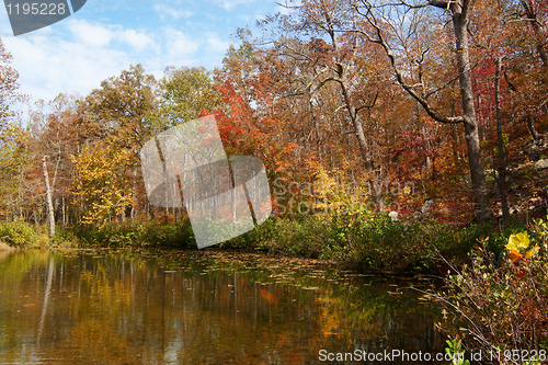 Image of autumn leaves and trees on river