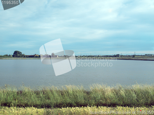 Image of Paddy field