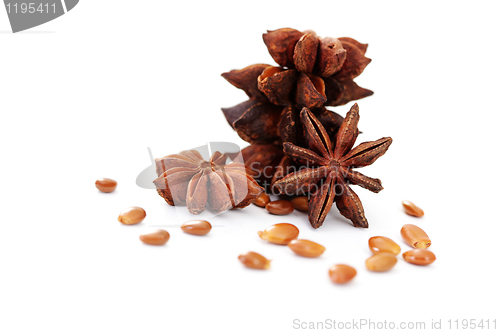 Image of anise star