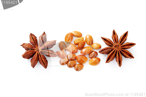Image of anise star
