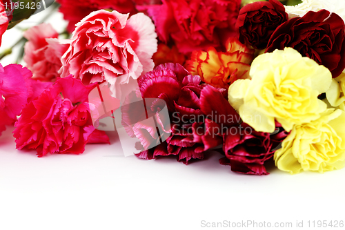 Image of carations