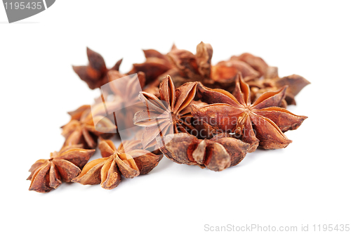 Image of anise star