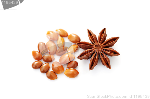 Image of anise star