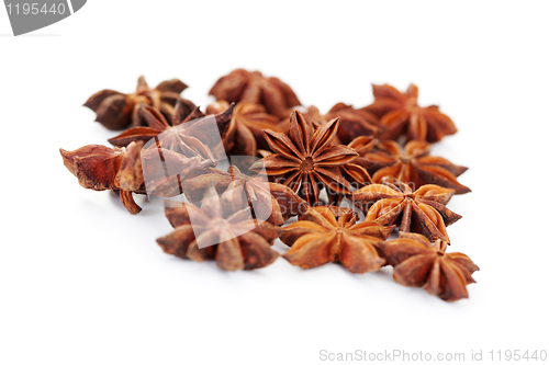 Image of anise star