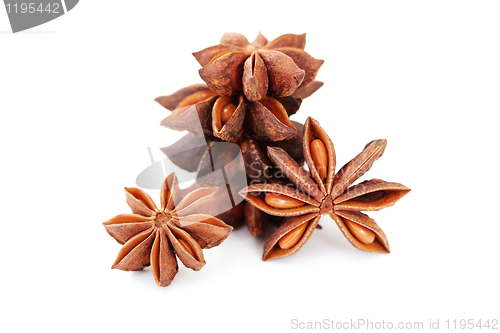 Image of anise star
