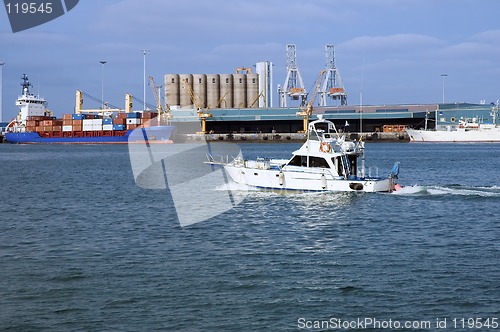 Image of Harbor life