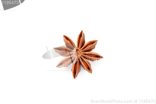 Image of anise star