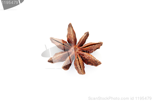 Image of anise star