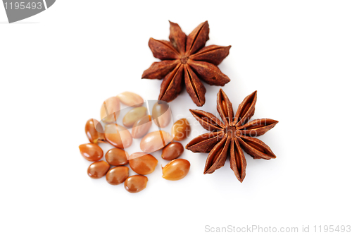 Image of anise star