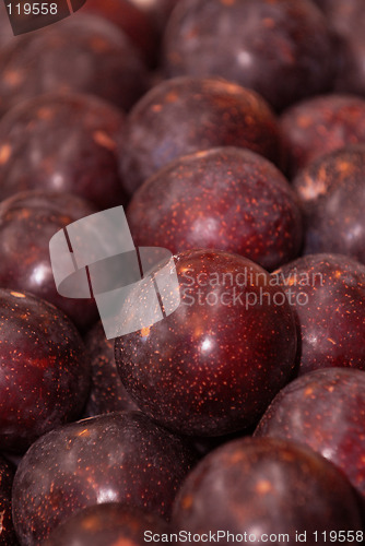 Image of Sunripe Plums