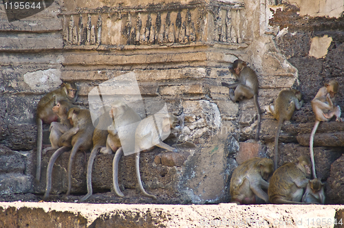 Image of Wat Phra Prang Sam Yot