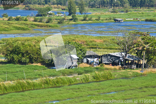 Image of Agriculture in Thailand