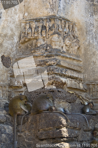 Image of Wat Phra Prang Sam Yot