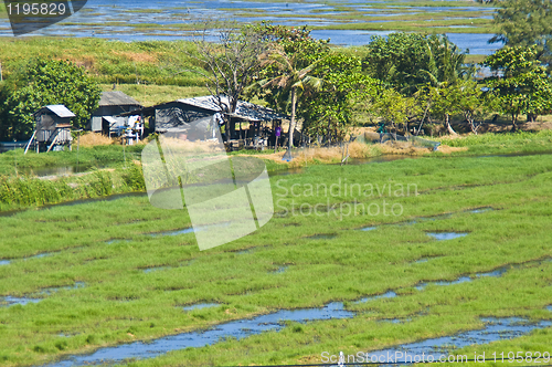 Image of Agriculture in Thailand