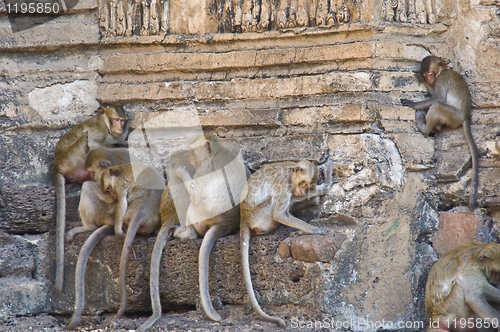 Image of Wat Phra Prang Sam Yot