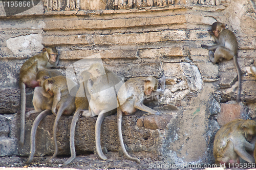 Image of Wat Phra Prang Sam Yot