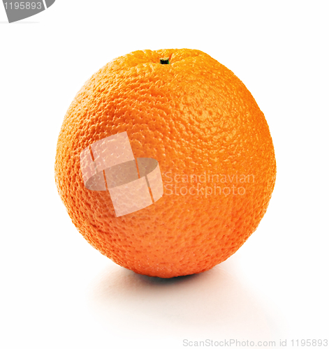 Image of Orange