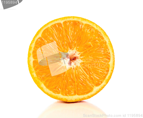 Image of juicy orange