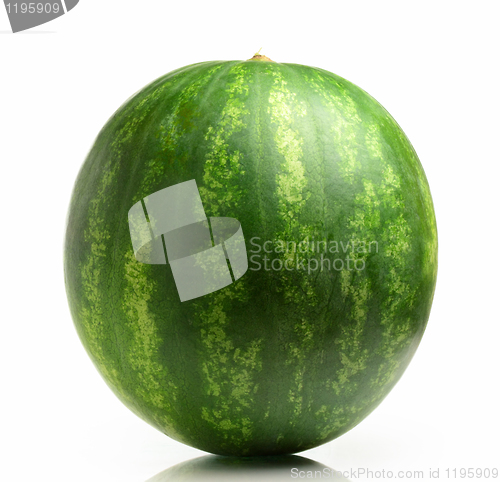 Image of Watermelon