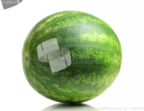 Image of Watermelon