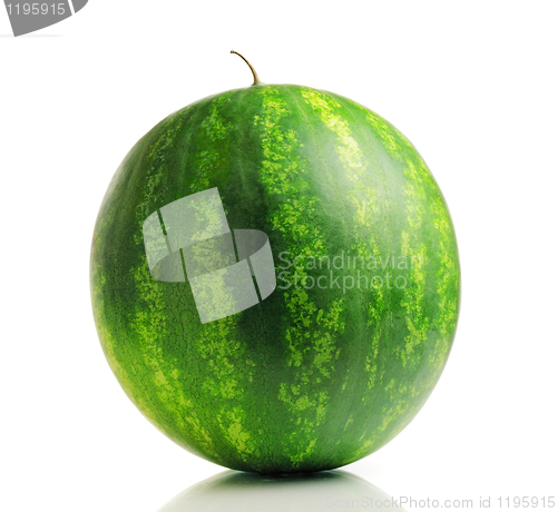 Image of Watermelon 