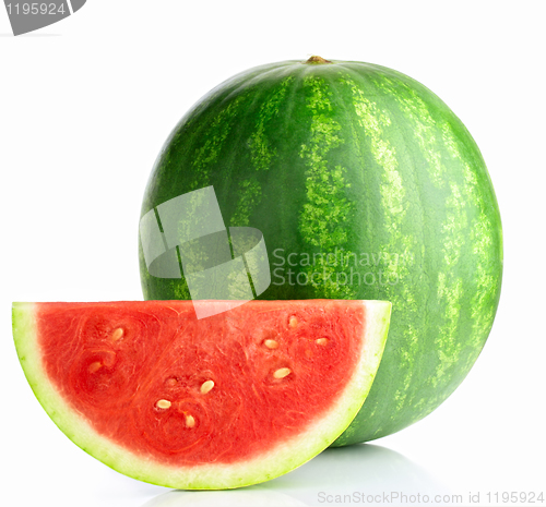 Image of Watermelon 