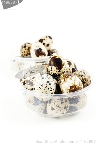 Image of Quail eggs