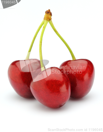 Image of Fresh cherry