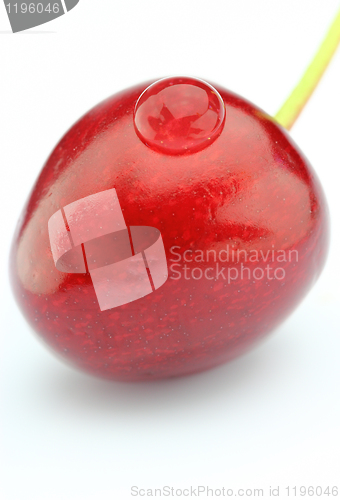 Image of Sweet cherry