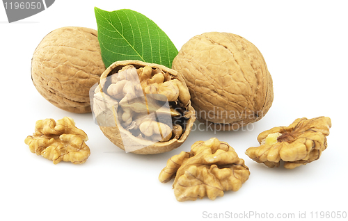 Image of Dried walnuts