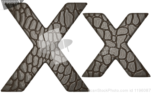 Image of Alligator skin font X lowercase and capital letters