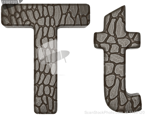 Image of Alligator skin font T lowercase and capital letters