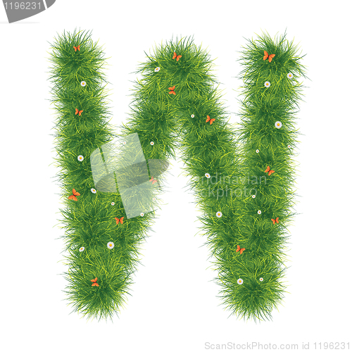 Image of Grass Alphabet A-Z