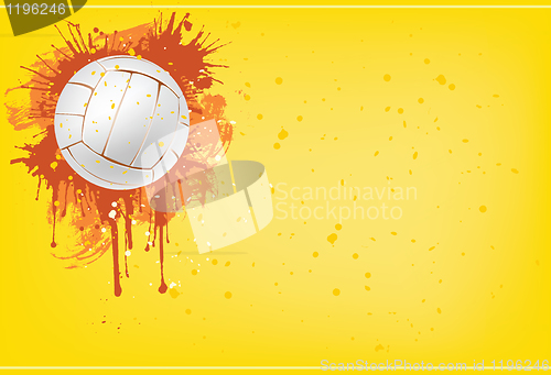 Image of Volleyball ball