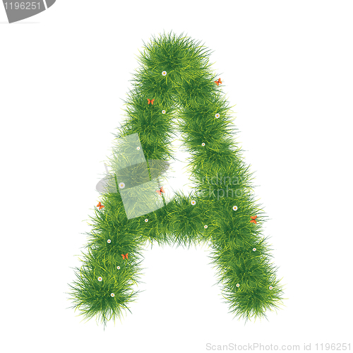 Image of Grass Alphabet A-Z