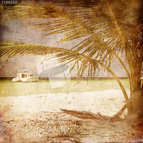 Image of Ship under Palm