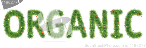 Image of Grass Alphabet A-Z
