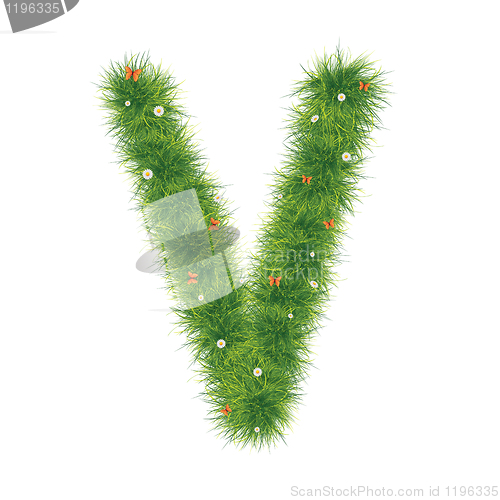 Image of Grass Alphabet A-Z