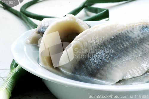 Image of herring