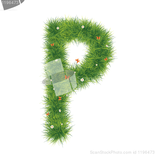 Image of Grass Alphabet A-Z
