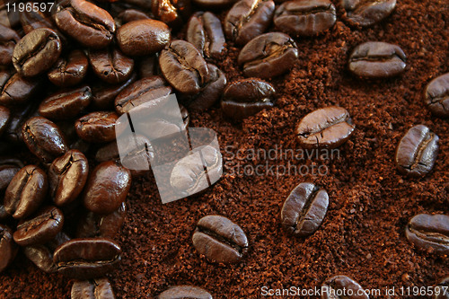 Image of Fragrant fried coffee beans 