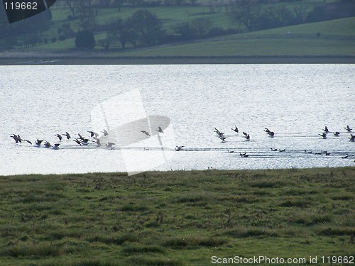 Image of To land...