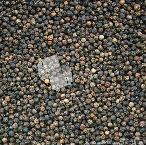 Image of Black pepper as background