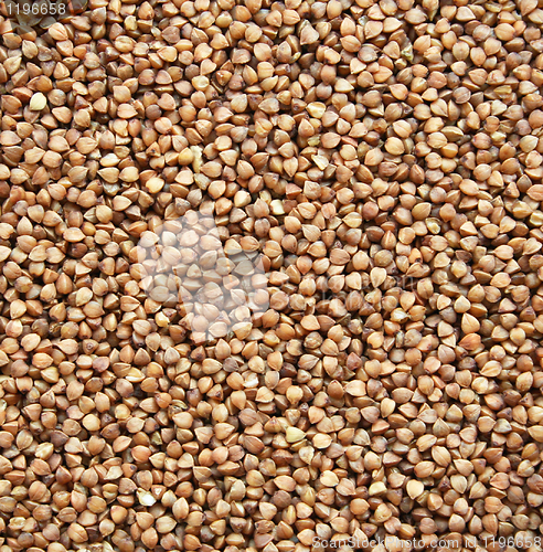 Image of Buckwheat texture as background