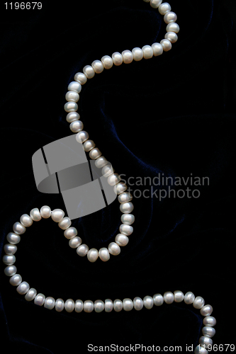 Image of White pearls on the black silk 