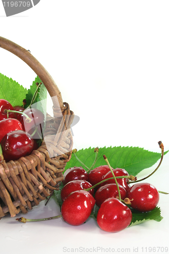 Image of Cherries
