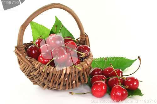 Image of Cherries